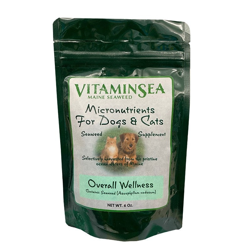 Seaweed hotsell for cats