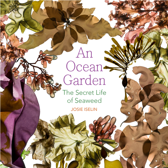 An Ocean Garden by Josie Iselin