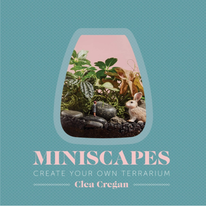 Miniscapes: Create Your Own Terrarium