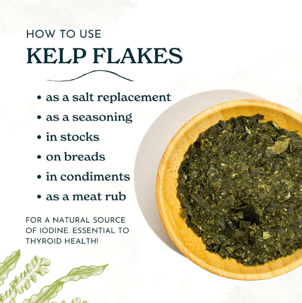 Organic Kelp Flake · Atlantic Sea Farms · 1oz