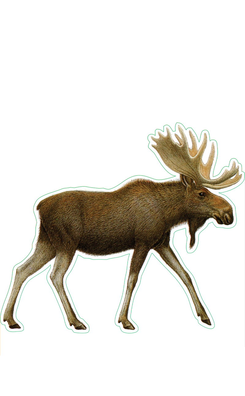 Moose Sticker