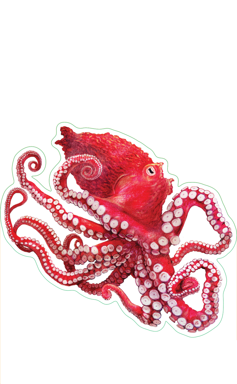 Giant Pacific Octopus Sticker