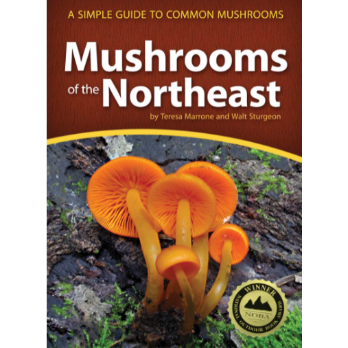 Mushrooms of the Northeast: A Simple Guide to Common Mushrooms ...